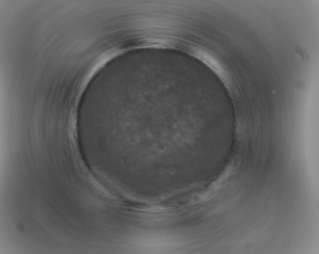 X0000113951283200910091601