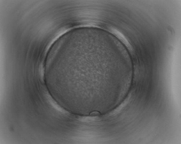 X0000113951284200910091601