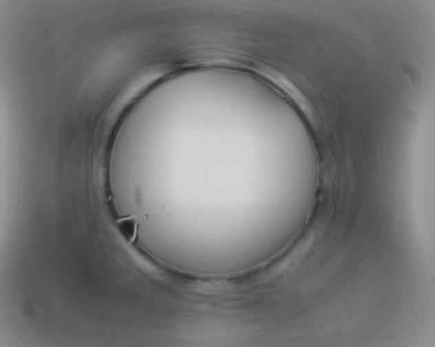 X0000113951285200910091601
