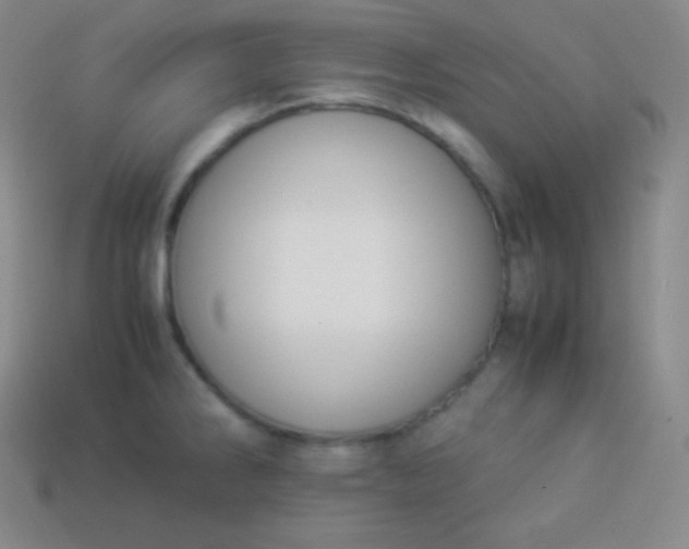 X0000113951286200910091601