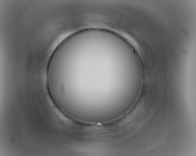 X0000113951287200910091600