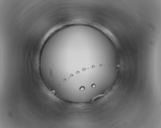 X0000113951288200910091600