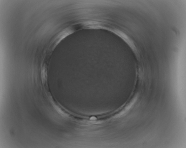 X0000113951289200910091600
