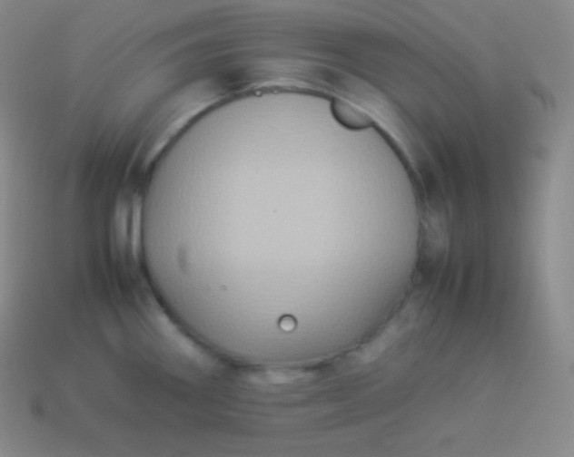 X0000113951290200910091600