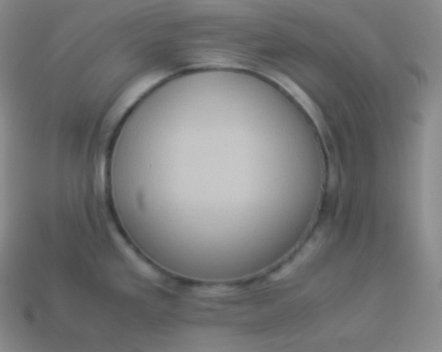 X0000113951293200910091600