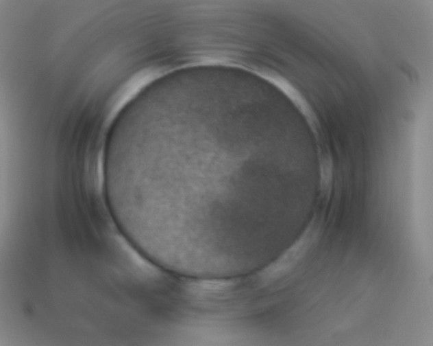 X0000113951294200910091600