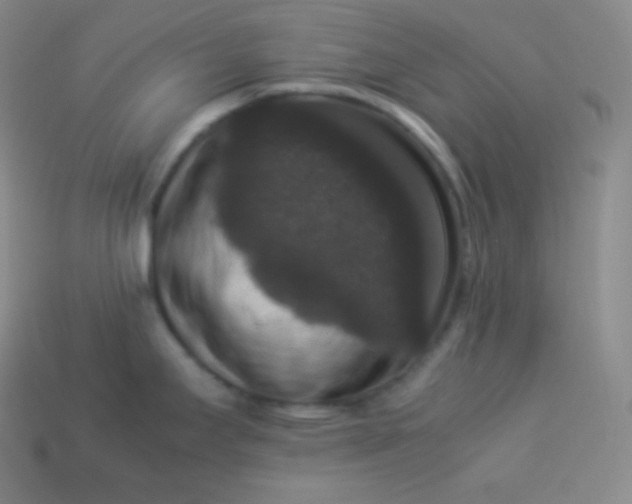 X0000113951295200910091600