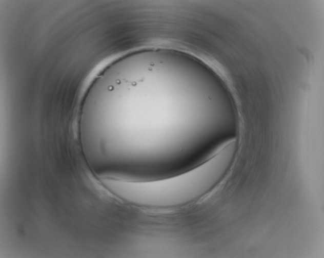 X0000113951296200910091600