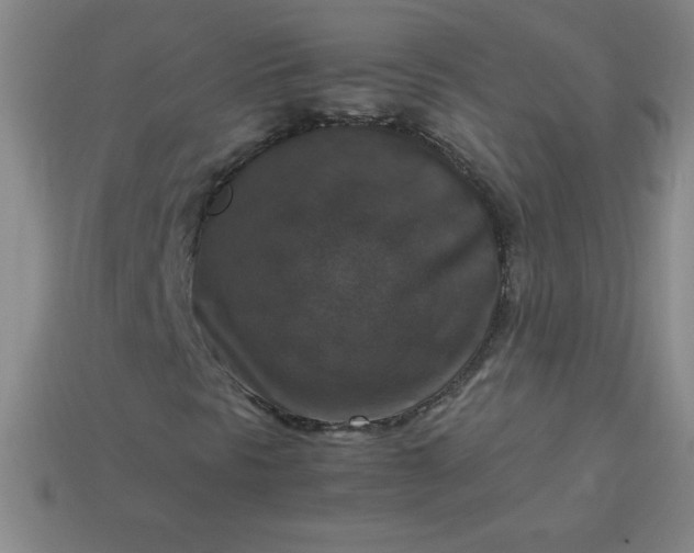 X0000113951297200910091600