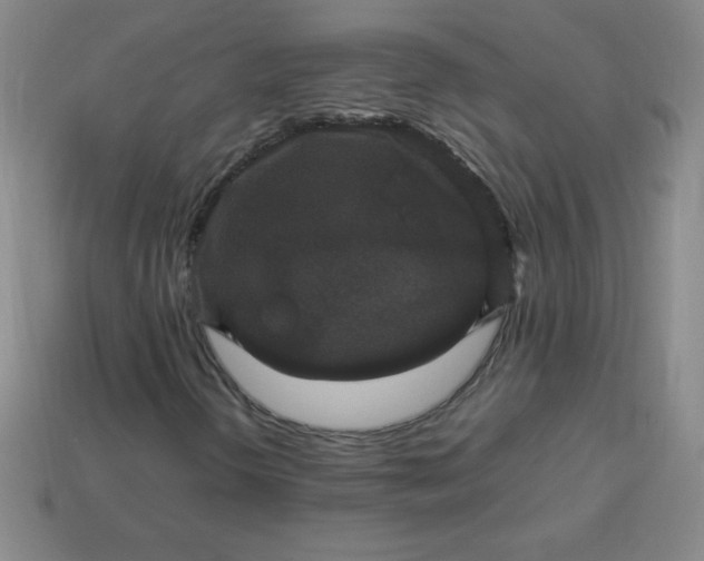 X0000113951298200910091600