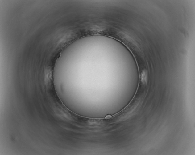 X0000113951299200910091600