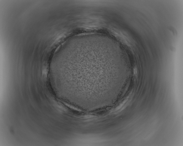 X0000113951300200910091600