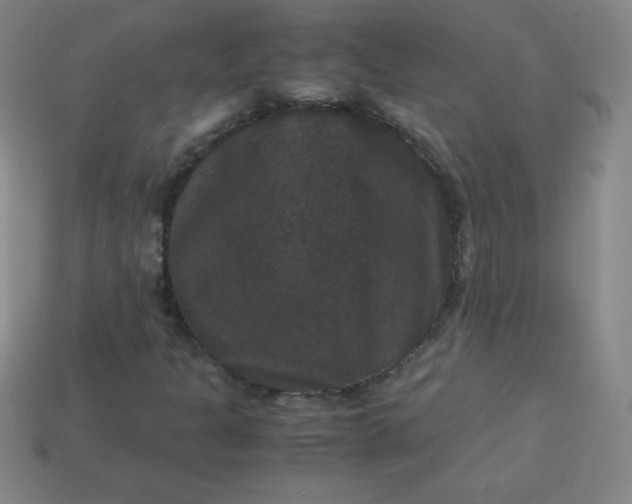 X0000113951301200910091600