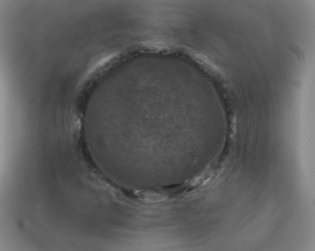 X0000113951302200910091600