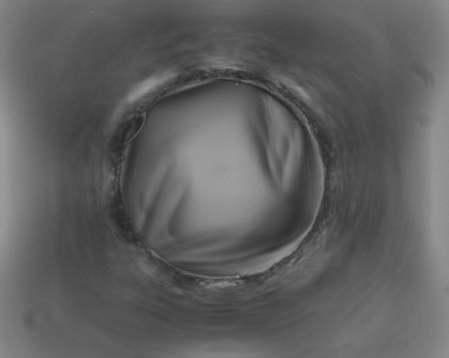 X0000113951303200910091600