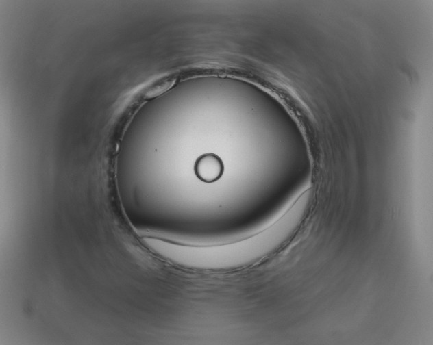 X0000113951304200910091600