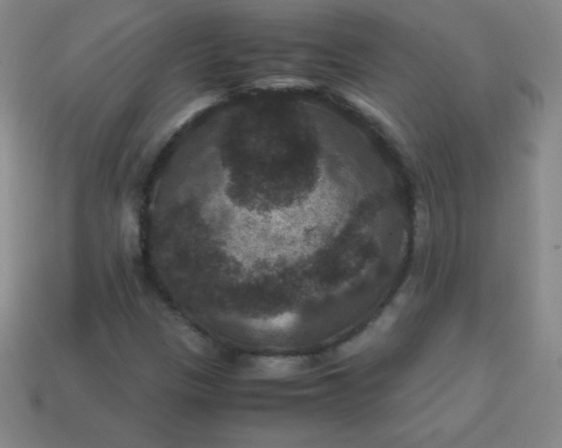 X0000113951305200910091600