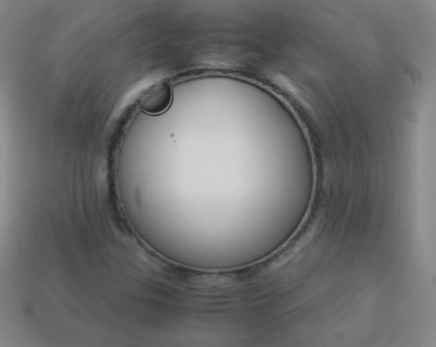 X0000113951307200910091600