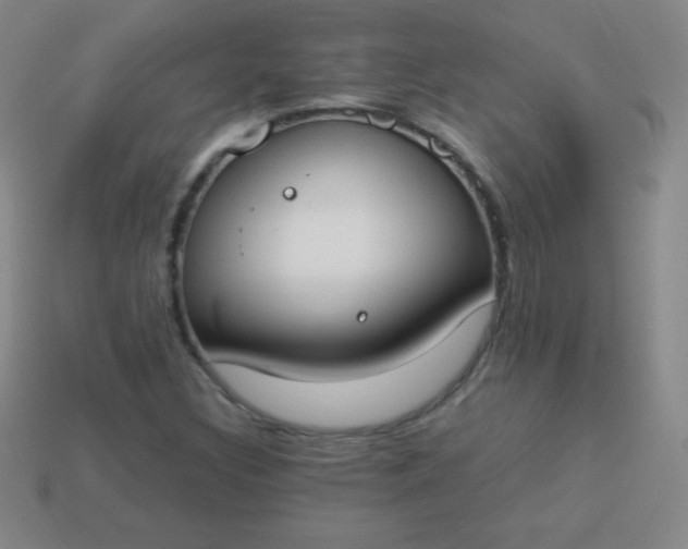 X0000113951308200910091600