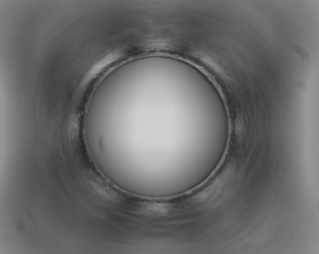X0000113951309200910091600