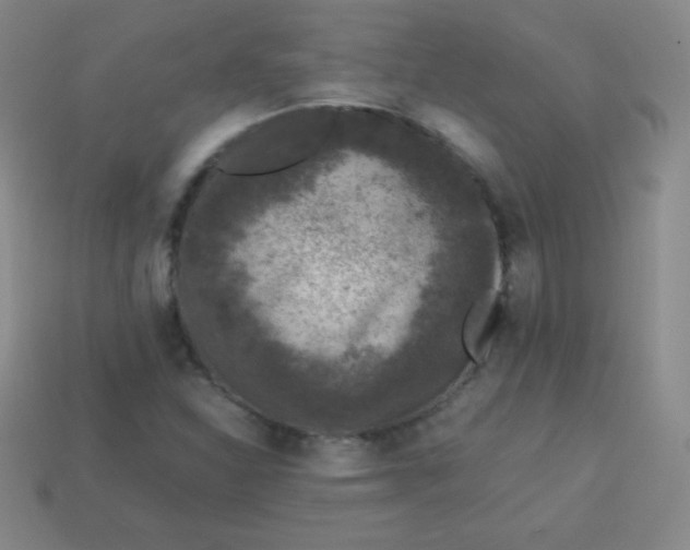 X0000113951310200910091600