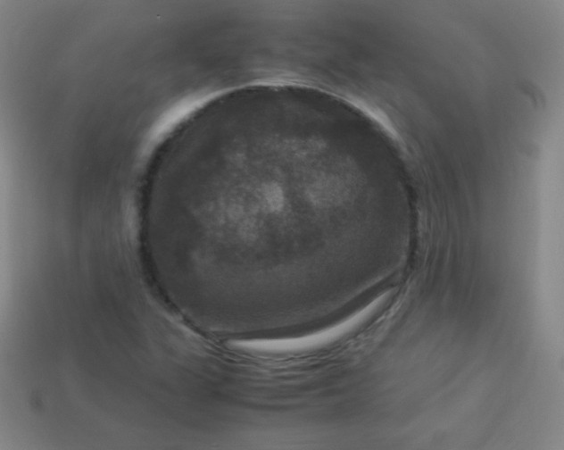 X0000113951311200910091600