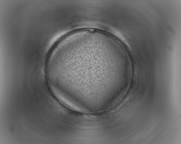 X0000113951312200910091600