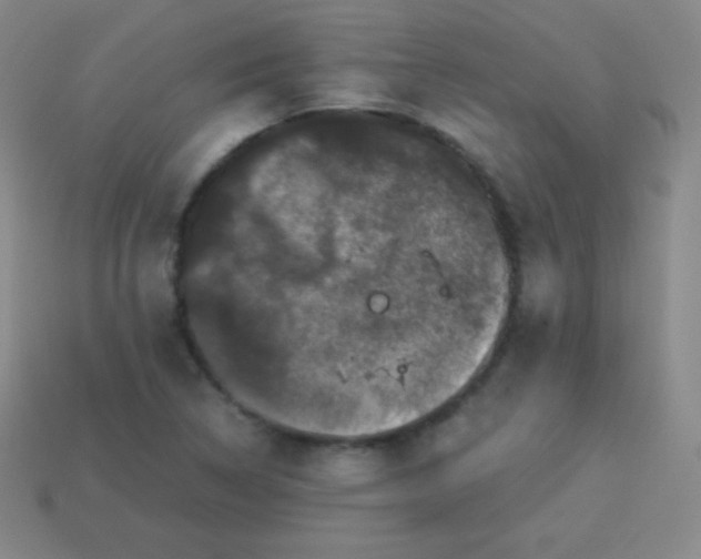 X0000113951314200910091600
