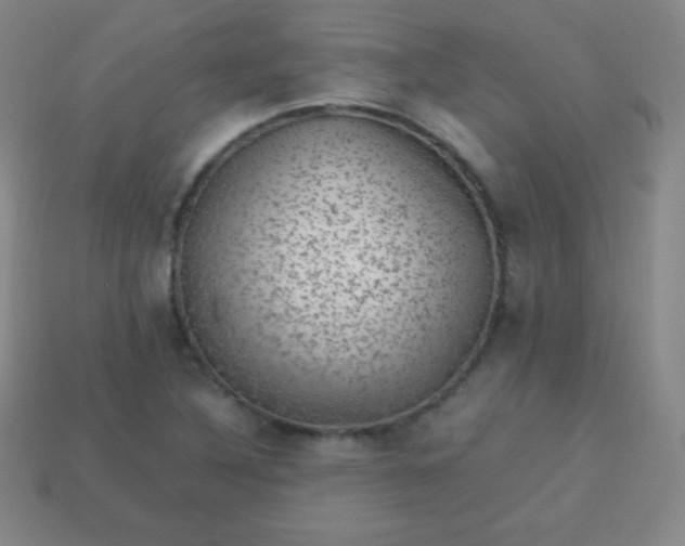 X0000113951316200910091600