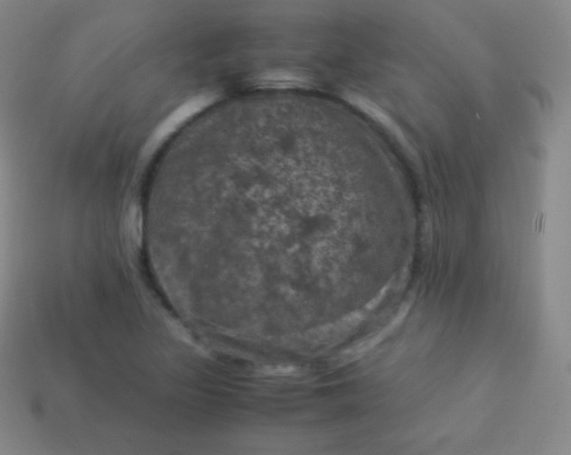 X0000113951317200910091600