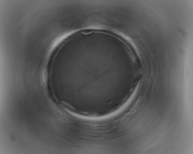 X0000113951319200910091600