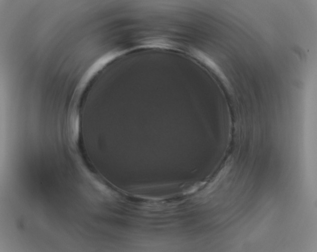 X0000113951323200910091600
