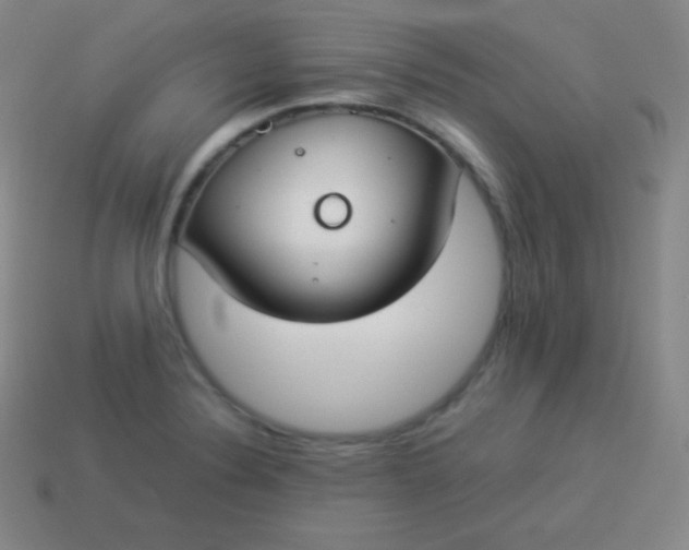 X0000113951324200910091600