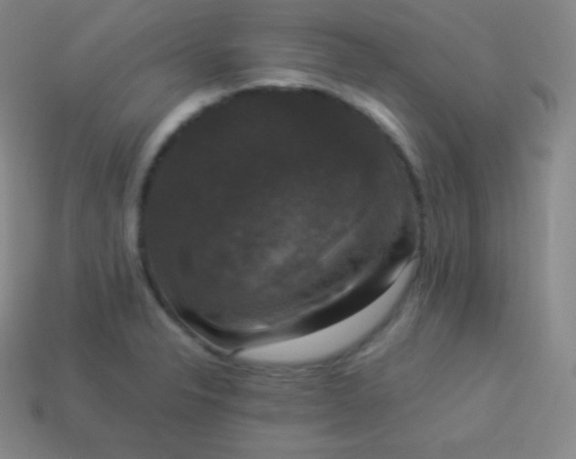 X0000113951326200910091600