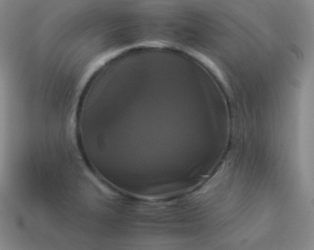 X0000113951327200910091600