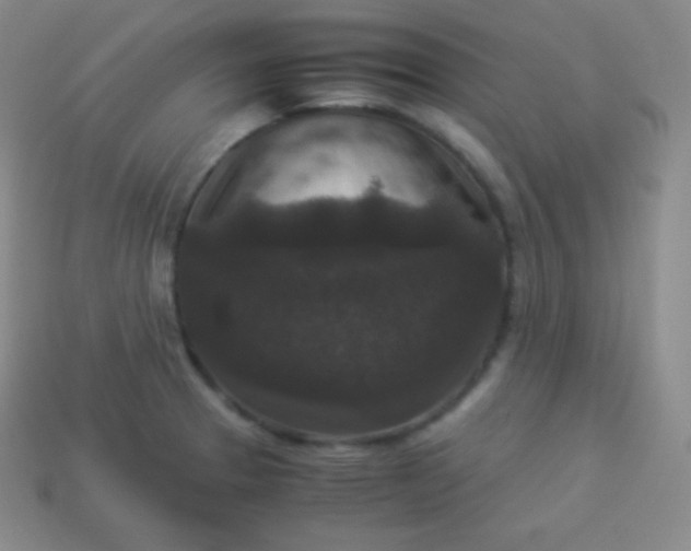 X0000113951329200910091600