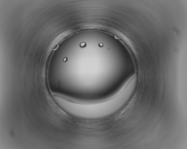 X0000113951330200910091600