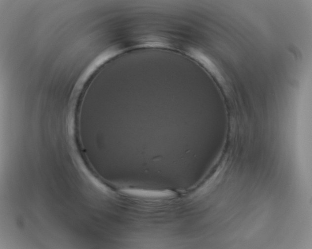 X0000113951331200910091600