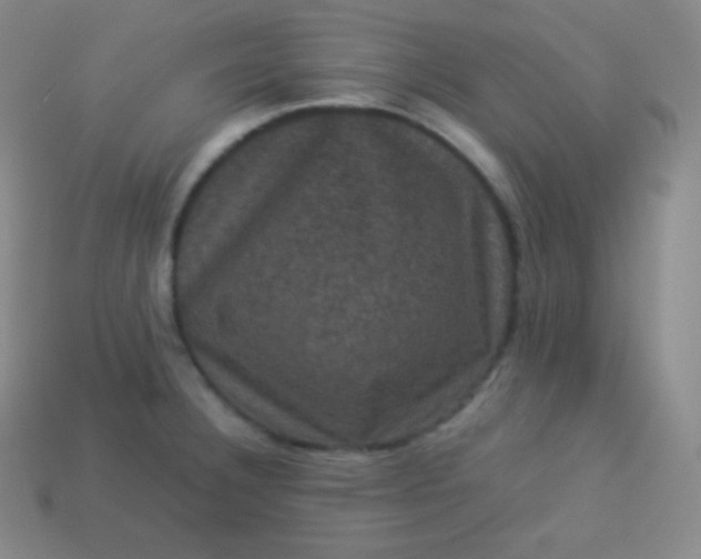X0000113951332200910091600