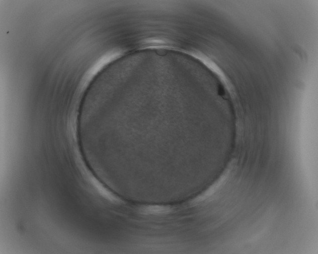 X0000113951333200910091600
