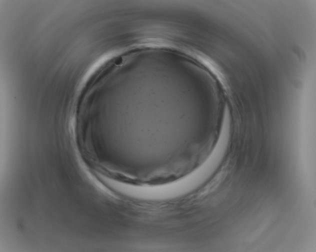 X0000113951334200910091600