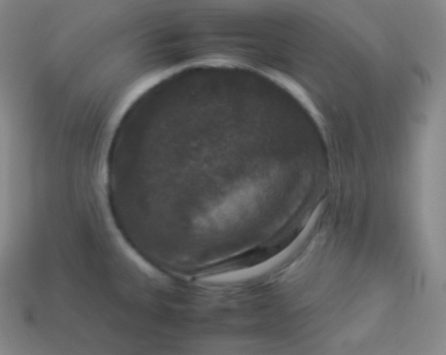 X0000113951335200910091600