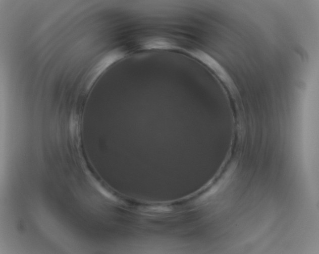 X0000113951337200910091600