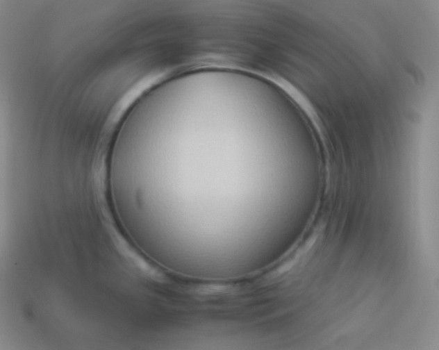 X0000113951341200910091600