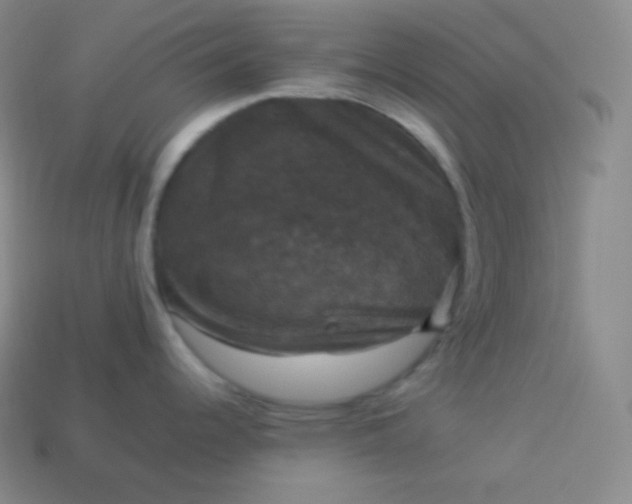 X0000113951344200910091600
