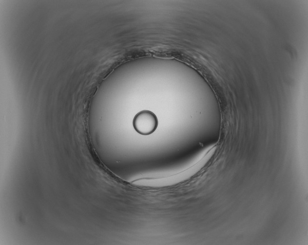 X0000113951345200910091600