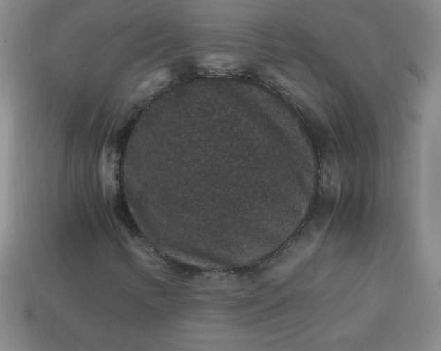 X0000113951346200910091600