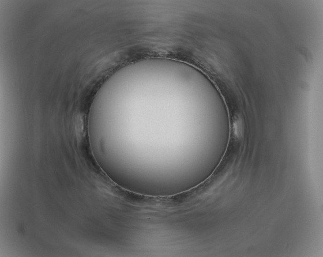 X0000113951347200910091600