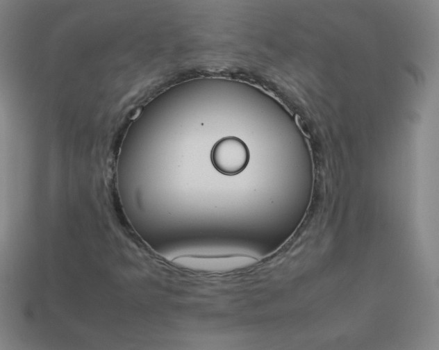 X0000113951349200910091559