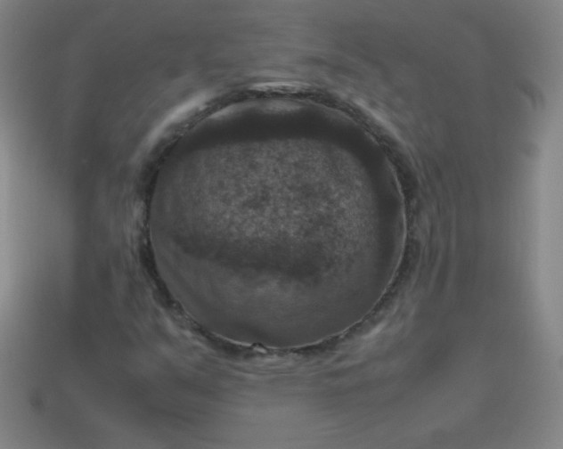 X0000113951351200910091559
